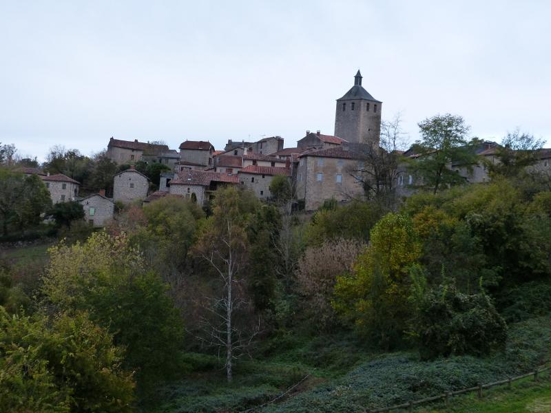 p1160265.jpg