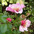 p1200400.jpg