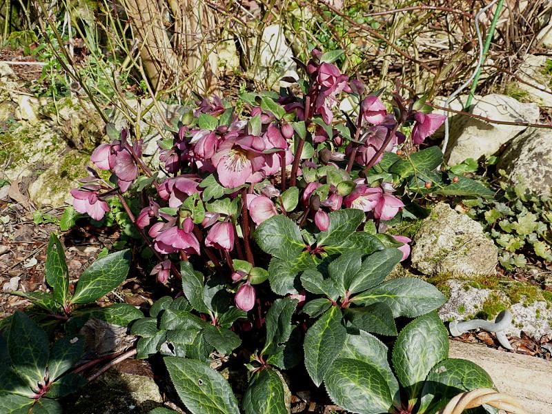 p1210636.jpg