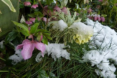 p1210714.jpg