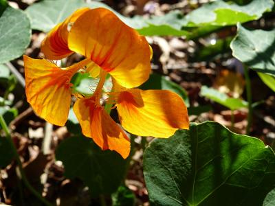 p1230719.jpg