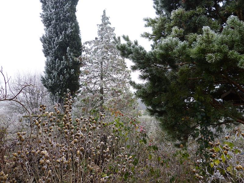 p1240144.jpg