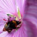 p1290007.jpg