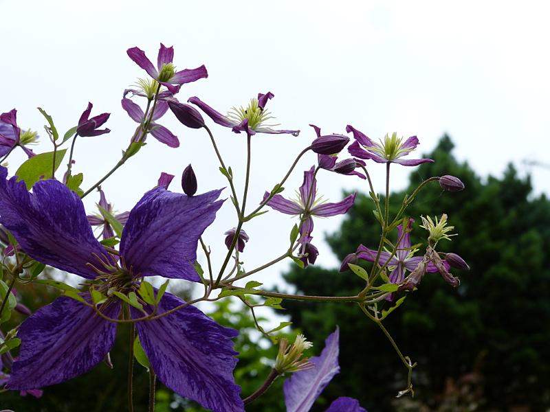 p1290150.jpg