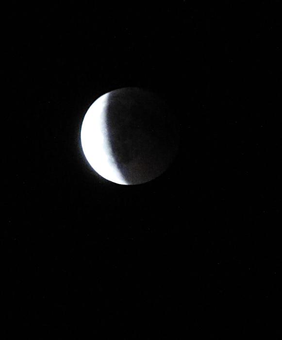 p1290773.jpg