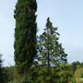 p1300010.jpg