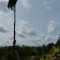 p1300012.jpg