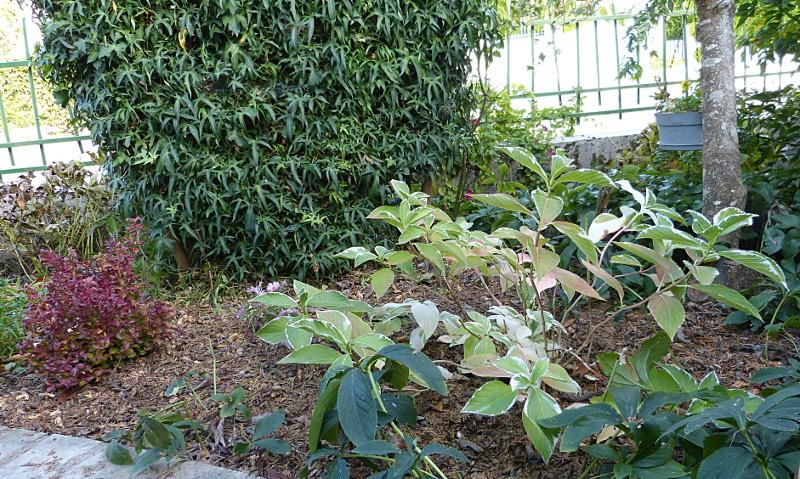 p1300202.jpg