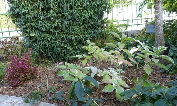 p1300202.jpg