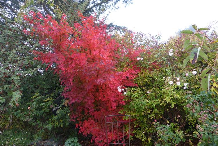 p1300290.jpg