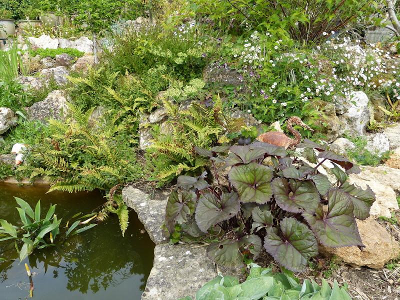 p1300984.jpg