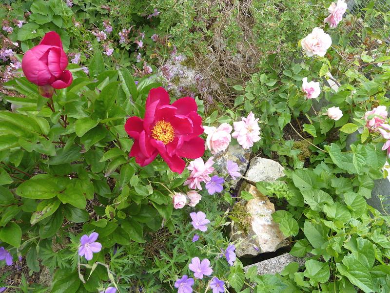 p1310089.jpg