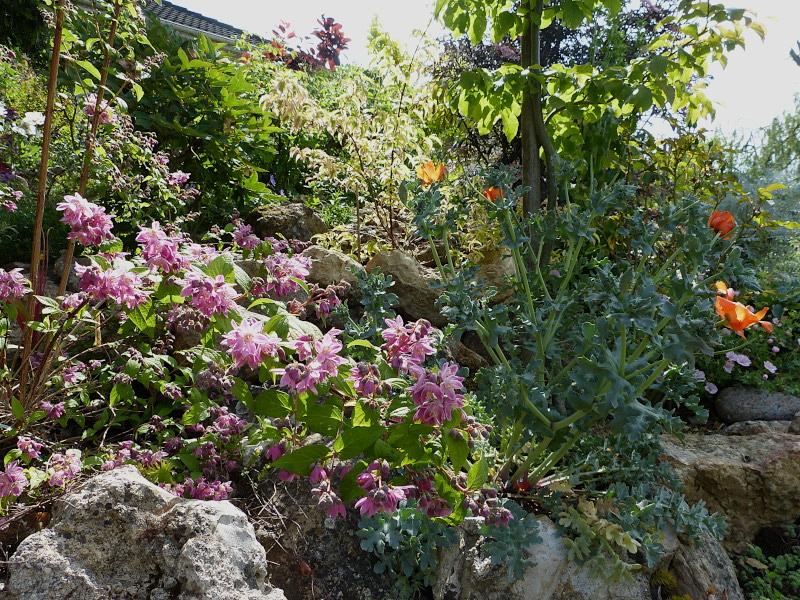 p1310187.jpg