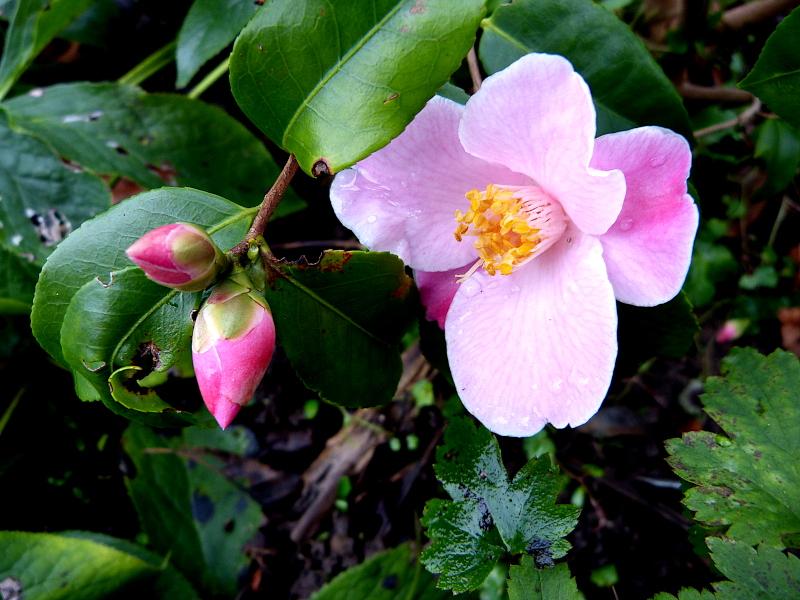 p1320067.jpg