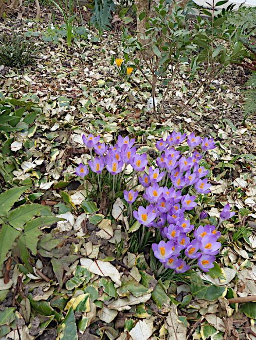 p1320129.jpg