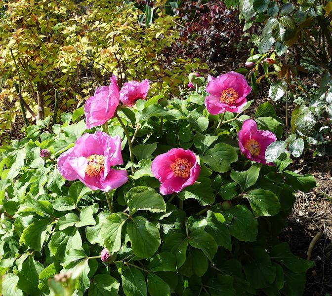 p1320347.jpg