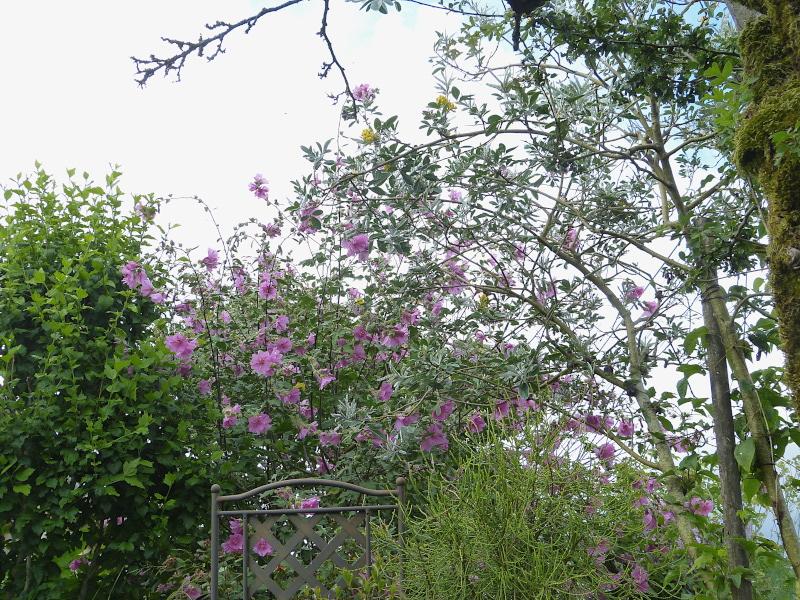 p1330337.jpg