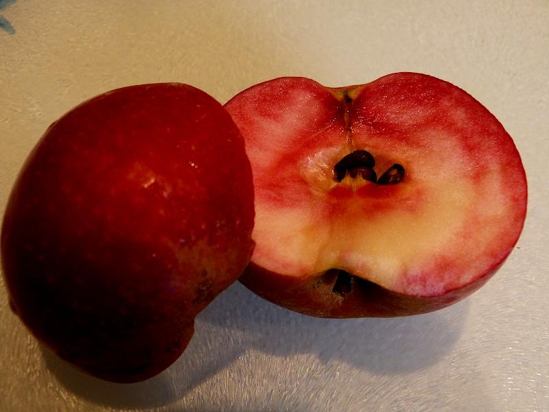 p1330611.jpg