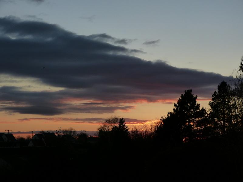 p1340039.jpg p1340039.jpg