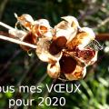voeux_2020.jpg