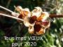 lysiane:visite_du_jardin:2020:voeux_2020.jpg