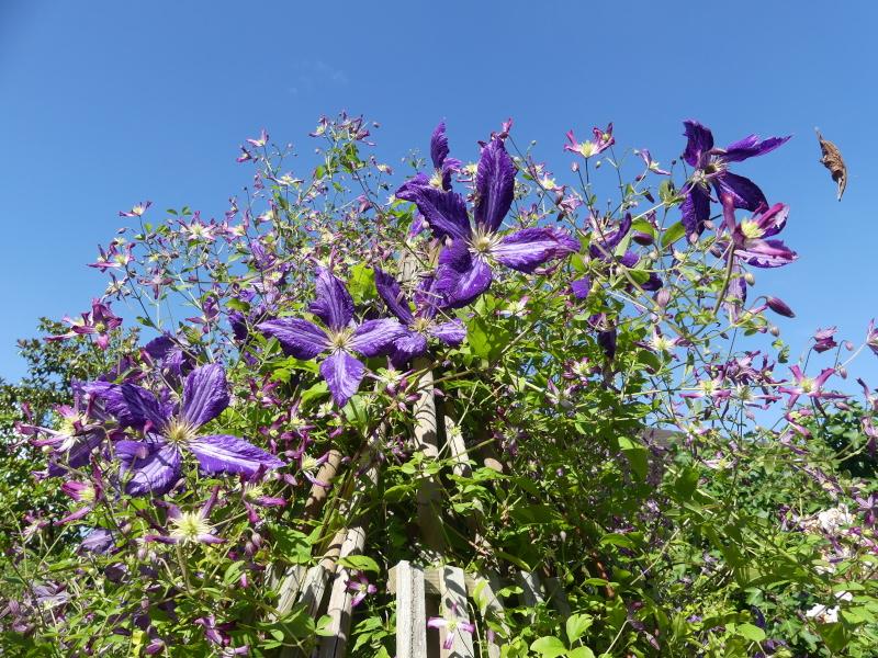 p1000072.jpg