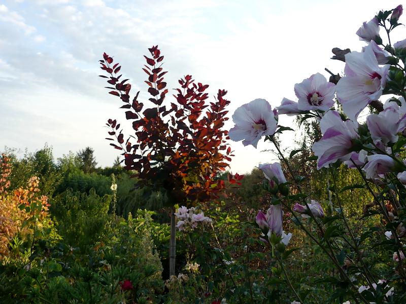 p1000367.jpg