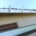p1000450.jpg