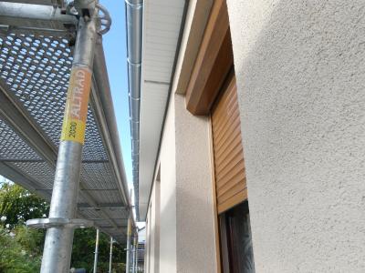 p1000465.jpg