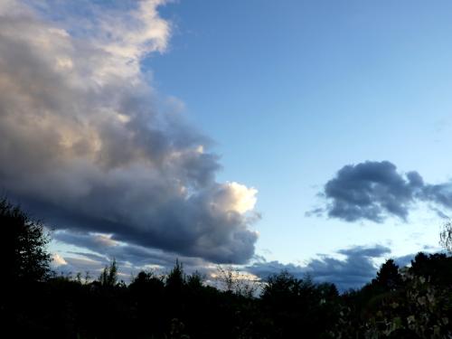 p1000473.jpg