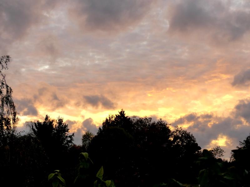 p1000543.jpg