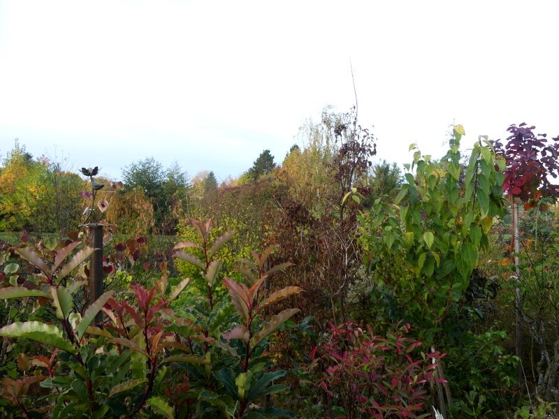 p1000609.jpg