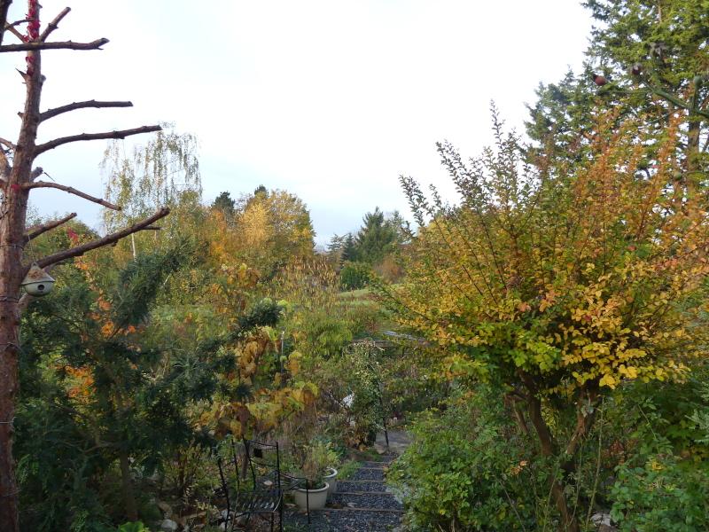 p1000613.jpg