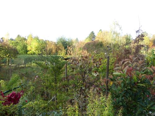 p1000617.jpg