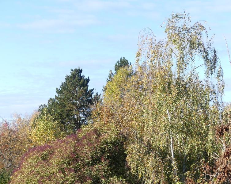 p1000625.jpg p1000625.jpg