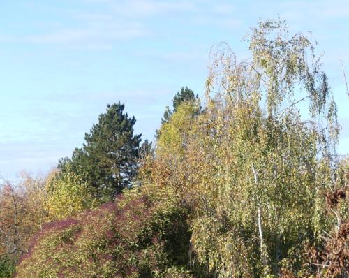 p1000625.jpg