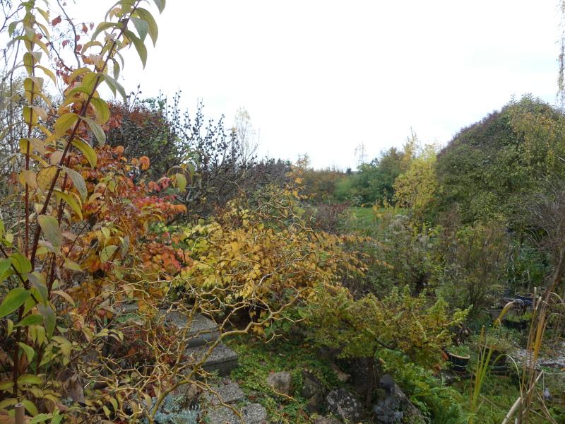 p1000679.jpg