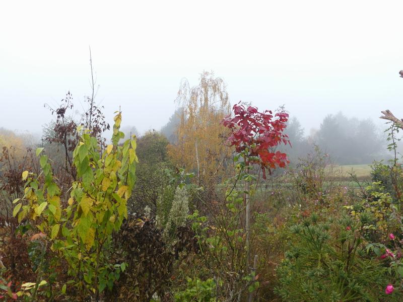 p1000753.jpg