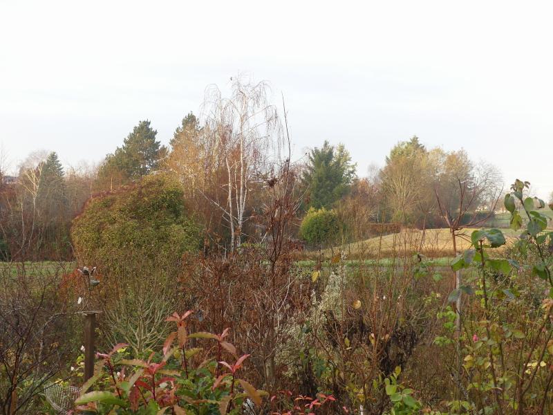 p1000803.jpg