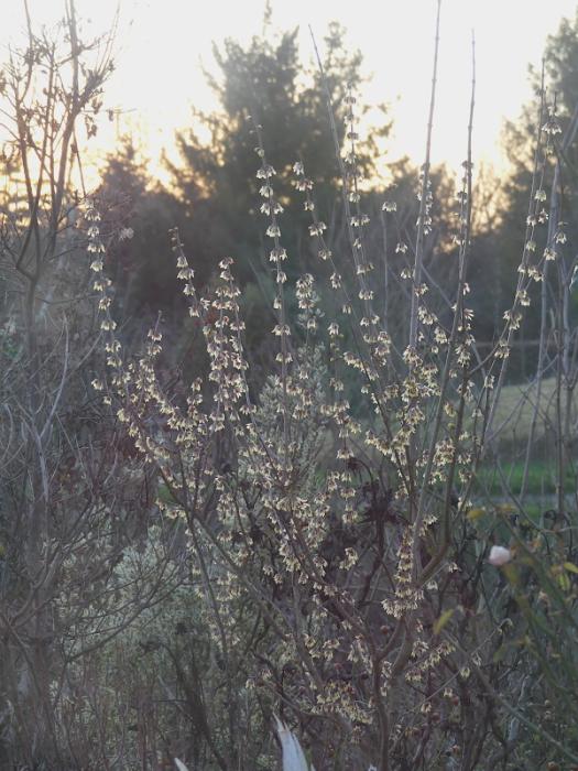 p1000850.jpg