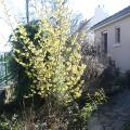 p1000870.jpg