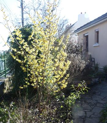 p1000870.jpg