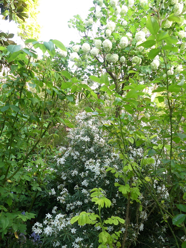 p1010285.jpg