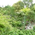 p1010540.jpg