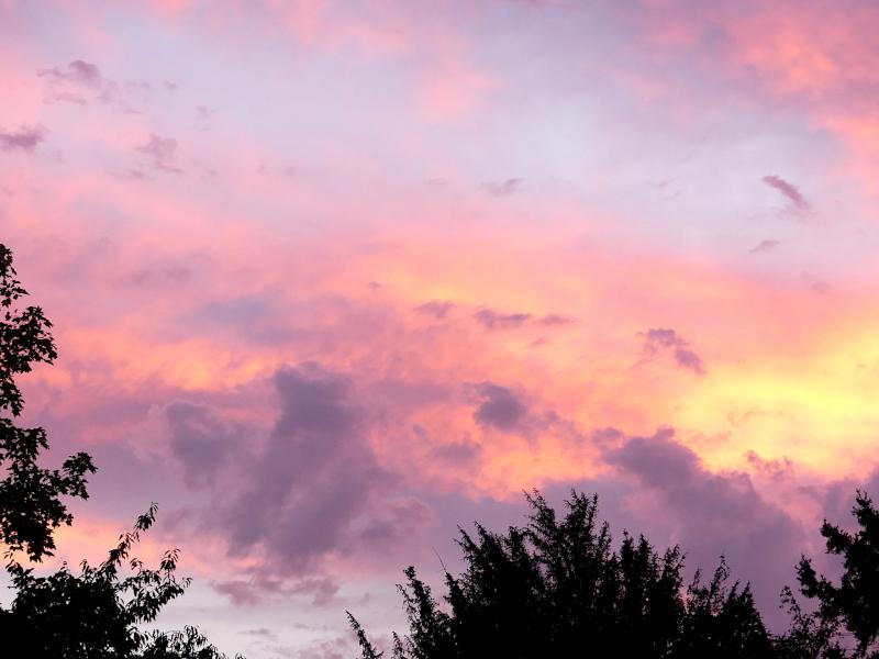 p1020434.jpg