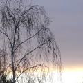 p1020580.jpg