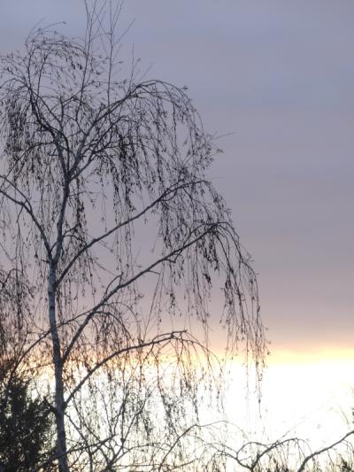 p1020580.jpg