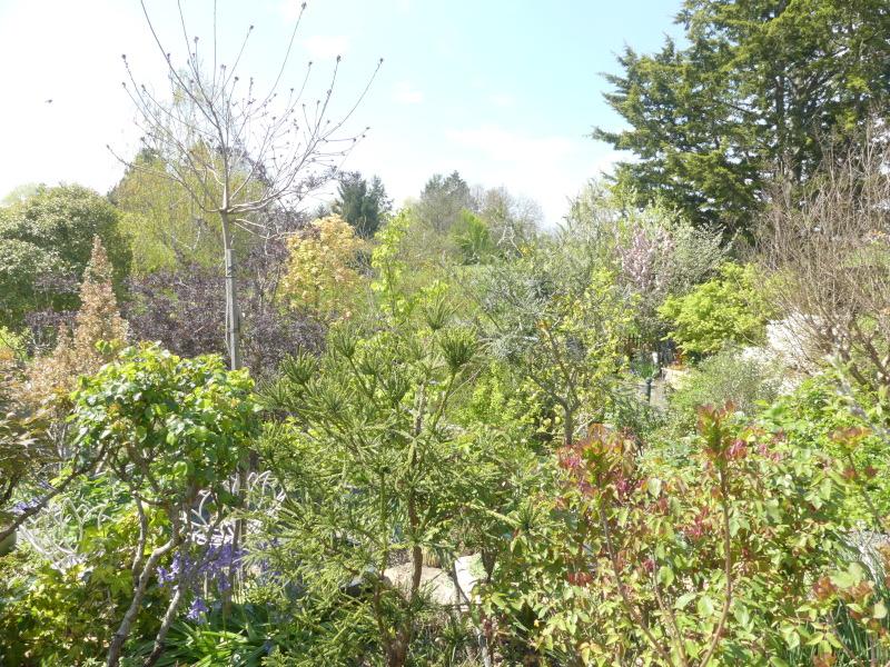 p1020851.jpg