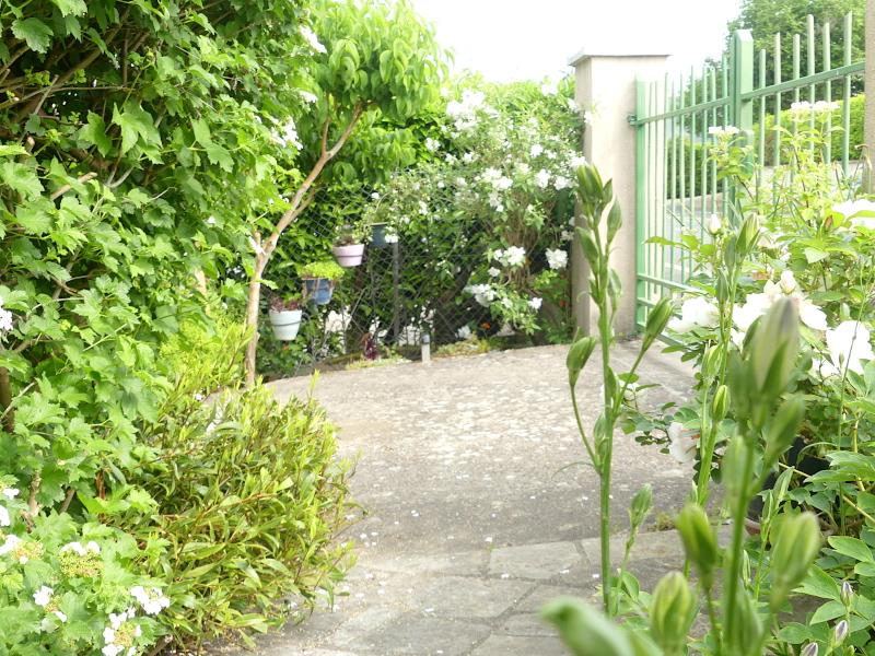 p1030205.jpg