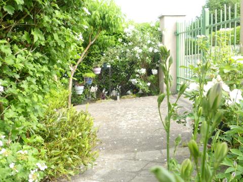 p1030205.jpg
